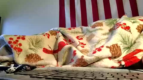 Snapshot of lawerenceingram46 chatting on 10-19-25, 04:35 lawerenceingram46 online show from 10-19-25, 04:35