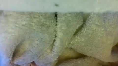 layannalea online show from 04-09-26, 06:30