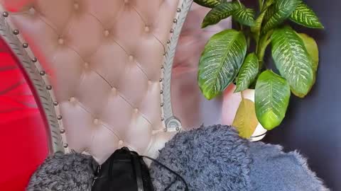 Layla online show from 10-26-25, 06:47