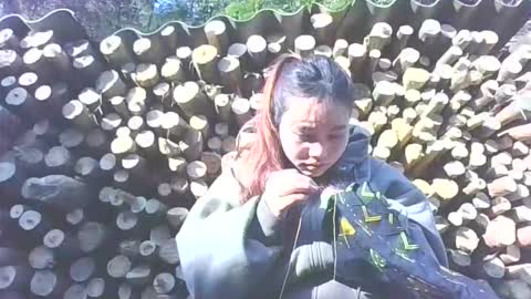 layla_999 online show from 01-12-26, 02:06