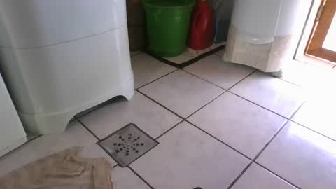 kelly online show from 03-07-25, 06:22