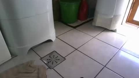 kelly online show from 03-07-25, 09:27