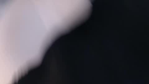 laylacruz online show from 03-02-25, 09:53