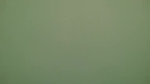 Snapshot of lechiffre1205 chatting on 11-28-25, 06:32 Michel online show from 11-28-25, 06:32