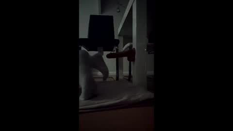 leehillery1 online show from 12-17-25, 01:44