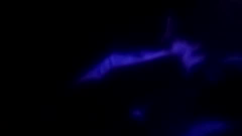 Michael online show from 09-30-25, 09:14