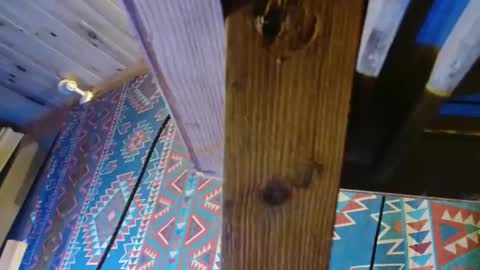 Dliciousman online show from 12-19-24, 05:50