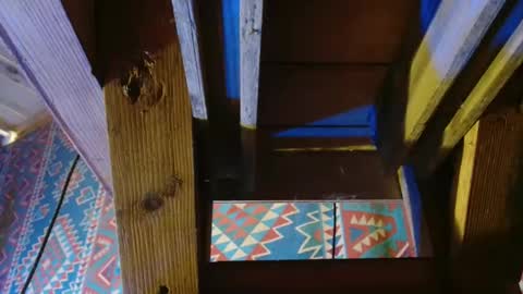 Dliciousman online show from 12-19-24, 08:55