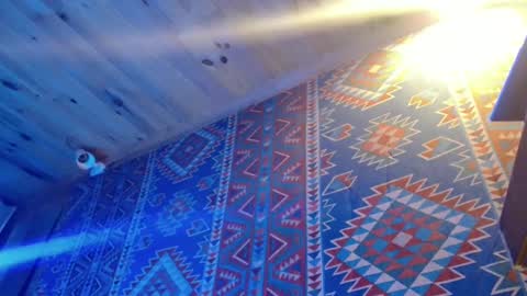 Dliciousman online show from 02-20-25, 10:37