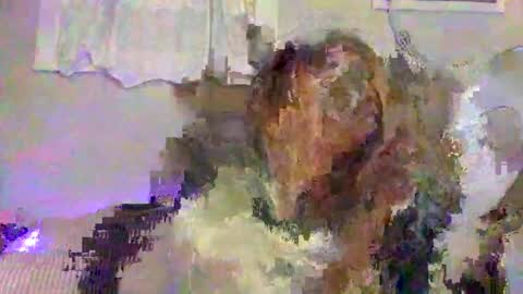 Snapshot of lemonkuilt chatting on 01-05-25, 03:32 Jennifer online show from 01-05-25, 03:32