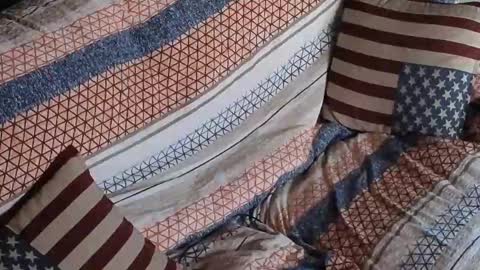 Segaiolo..... online show from 04-30-26, 06:53