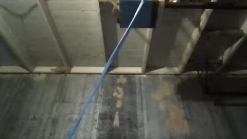 Snapshot of leo199984 chatting on 11-09-25, 05:17 leo199984 online show from 11-09-25, 05:17