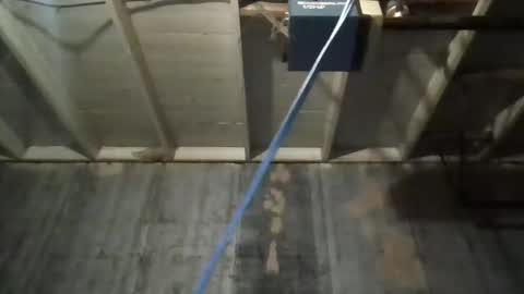 Snapshot of leo199984 chatting on 11-25-25, 03:39 leo199984 online show from 11-25-25, 03:39