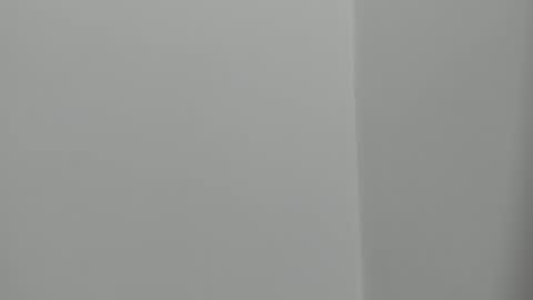 Leo  Diaz online show from 01-20-25, 06:10