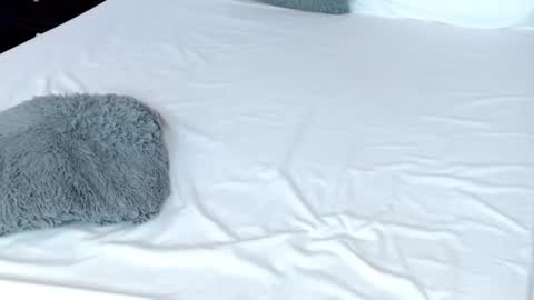 Snapshot of leonacutecam chatting on 02-19-25, 11:04 LUCY online show from 02-19-25, 11:04