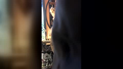 Snapshot of leongent chatting on 02-27-26, 08:42 Leon online show from 02-27-26, 08:42