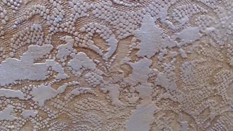 Snapshot of leoroman chatting on 02-06-25, 06:24 leoroman online show from 02-06-25, 06:24