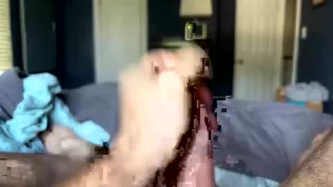 Snapshot of letmecumforyou71 chatting on 09-20-25, 12:50 letmecumforyou71 online show from 09-20-25, 12:50