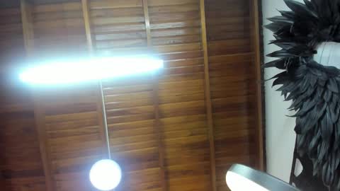 Snapshot of levy_steve chatting on 11-07-25, 05:29 LevySteven online show from 11-07-25, 05:29