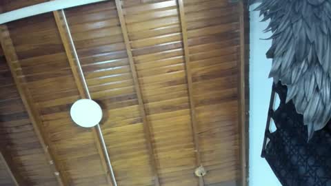 Snapshot of levy_steve chatting on 11-16-25, 10:59 LevySteven online show from 11-16-25, 10:59