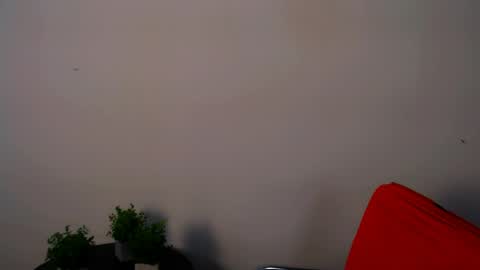 Alexia online show from 05-15-26, 11:17