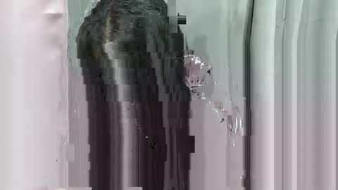 lhara_morena online show from 12-18-25, 12:11