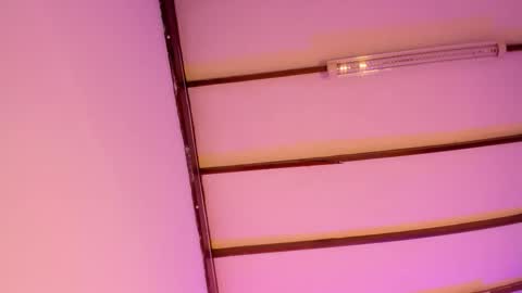 Liah Fontaine online show from 03-12-26, 11:38