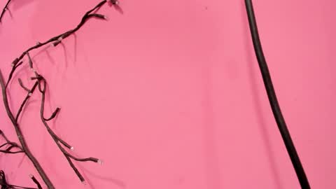 Snapshot of liam_evvan chatting on 01-18-26, 03:10 Liam online show from 01-18-26, 03:10