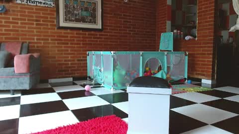 Liarouse04 online show from 04-11-26, 01:48