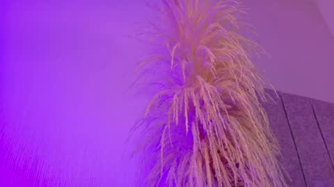 Liiam Luna online show from 04-20-26, 11:02