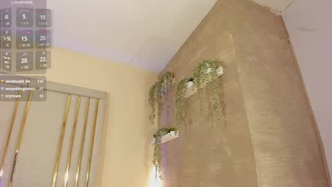 liincostelloo online show from 02-19-25, 02:33