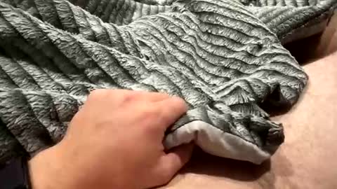 Snapshot of likeaboss820 chatting on 10-29-25, 02:03 likeaboss820 online show from 10-29-25, 02:03