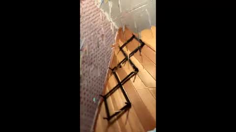likewhatchasee online show from 06-08-26, 04:46