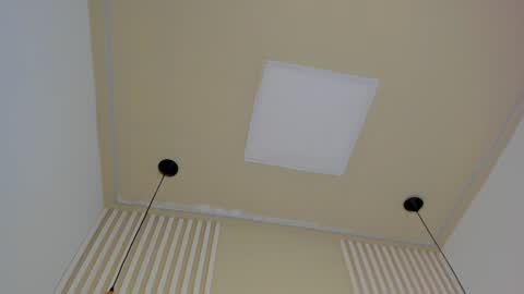 Snapshot of lila_cohen chatting on 01-14-25, 12:00 L I L A online show from 01-14-25, 12:00