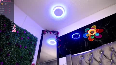   online show from 12-24-24, 10:44