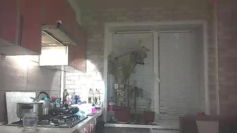 LilaniLoverx online show from 01-31-26, 08:51