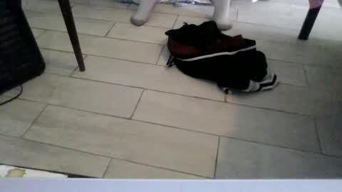 Snapshot of lildicksissy chatting on 02-27-26, 08:20 lildicksissy online show from 02-27-26, 08:20