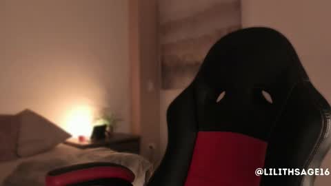 Snapshot of lilith_sage_ chatting on 10-10-25, 11:42 lilith_sage_ online show from 10-10-25, 11:42