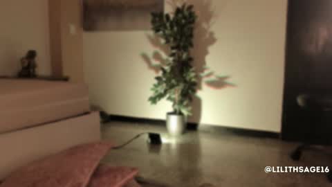 Snapshot of lilith_sage_ chatting on 11-13-25, 11:53 lilith_sage_ online show from 11-13-25, 11:53