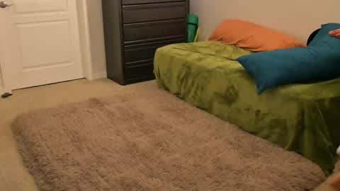 L online show from 02-14-25, 10:38