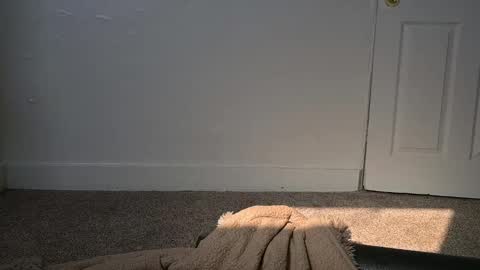 L online show from 03-04-25, 04:30