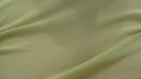 Snapshot of lillkit chatting on 02-16-26, 11:45 Lilu online show from 02-16-26, 11:45