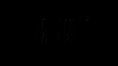 Snapshot of lilpresident chatting on 01-23-25, 07:51 lilpresident online show from 01-23-25, 07:51