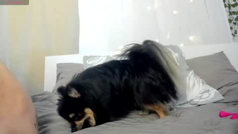 LILY online show from 07-26-26, 02:02