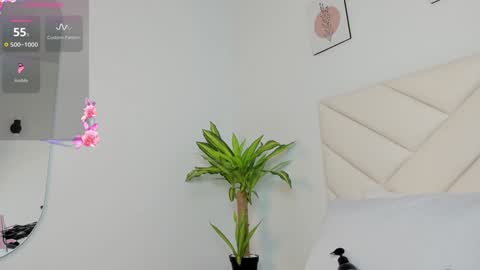   online show from 12-01-24, 07:03