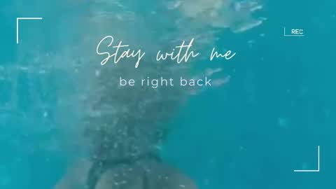 Snapshot of lily_foster_ chatting on 09-11-25, 06:24 Lily online show from 09-11-25, 06:24