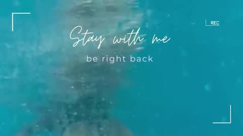 Snapshot of lily_foster_ chatting on 11-01-25, 06:15 Lily online show from 11-01-25, 06:15