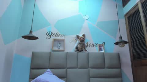 Lily online show from 02-25-25, 08:03