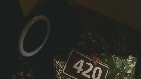 Snapshot of lilybvixen chatting on 02-25-26, 04:55 lilybvixen online show from 02-25-26, 04:55