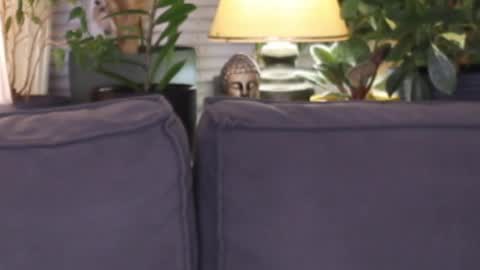 Snapshot of lilyminx chatting on 11-13-25, 03:55 -- My Wishlist online show from 11-13-25, 03:55